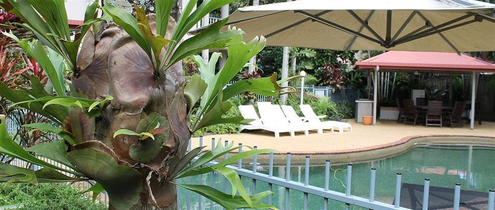 Cairns Reef Apartments & Motel Екстериор снимка